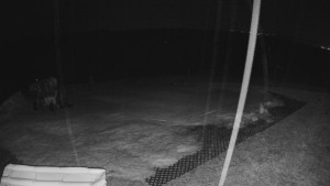 TJ Němčičky - Výstup z vleku - 23.2.2026 v 03:25 TJ Němčičky - Výstup z vleku - 23.2.2026 v 03:25