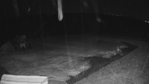 TJ Němčičky - Výstup z vleku - 23.2.2026 v 04:00 TJ Němčičky - Výstup z vleku - 23.2.2026 v 04:00