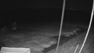 TJ Němčičky - Výstup z vleku - 23.2.2026 v 04:05 TJ Němčičky - Výstup z vleku - 23.2.2026 v 04:05