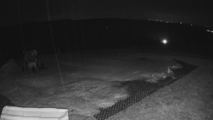 TJ Němčičky - Výstup z vleku - 23.2.2026 v 05:40 TJ Němčičky - Výstup z vleku - 23.2.2026 v 05:40