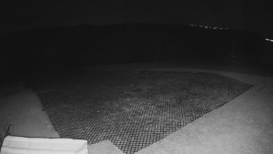 TJ Němčičky - Výstup z vleku - 15.3.2026 v 00:15 TJ Němčičky - Výstup z vleku - 15.3.2026 v 00:15