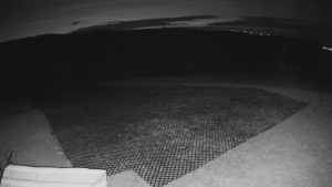 TJ Němčičky - Výstup z vleku - 15.3.2026 v 04:50 TJ Němčičky - Výstup z vleku - 15.3.2026 v 04:50