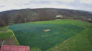 TJ Němčičky - Výstup z vleku - 27.3.2026 v 09:50 TJ Němčičky - Výstup z vleku - 27.3.2026 v 09:50