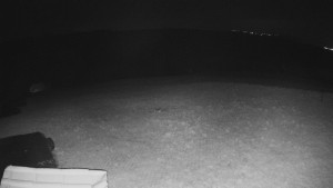 TJ Němčičky - Výstup z vleku - 15.4.2026 v 01:30 TJ Němčičky - Výstup z vleku - 15.4.2026 v 01:30