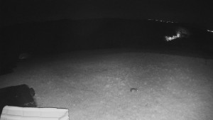 TJ Němčičky - Výstup z vleku - 15.4.2026 v 02:30 TJ Němčičky - Výstup z vleku - 15.4.2026 v 02:30