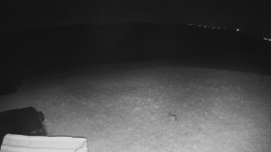 TJ Němčičky - Výstup z vleku - 15.4.2026 v 02:50 TJ Němčičky - Výstup z vleku - 15.4.2026 v 02:50