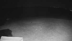 TJ Němčičky - Výstup z vleku - 15.4.2026 v 03:10 TJ Němčičky - Výstup z vleku - 15.4.2026 v 03:10