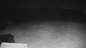 TJ Němčičky - Výstup z vleku - 15.4.2026 v 04:00 TJ Němčičky - Výstup z vleku - 15.4.2026 v 04:00