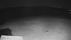 TJ Němčičky - Výstup z vleku - 15.4.2026 v 05:05 TJ Němčičky - Výstup z vleku - 15.4.2026 v 05:05