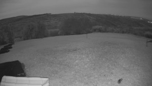 TJ Němčičky - Výstup z vleku - 15.4.2026 v 05:25 TJ Němčičky - Výstup z vleku - 15.4.2026 v 05:25