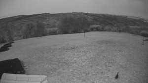 TJ Němčičky - Výstup z vleku - 15.4.2026 v 05:30 TJ Němčičky - Výstup z vleku - 15.4.2026 v 05:30