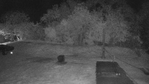 TJ Němčičky - Koberec - 30.4.2025 v 00:00 TJ Němčičky - Koberec - 30.4.2025 v 00:00