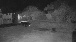 TJ Němčičky - Koberec - 30.4.2025 v 01:00 TJ Němčičky - Koberec - 30.4.2025 v 01:00