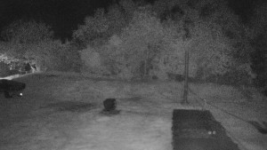 TJ Němčičky - Koberec - 30.4.2025 v 02:00 TJ Němčičky - Koberec - 30.4.2025 v 02:00