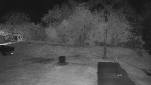 TJ Němčičky - Koberec - 30.4.2025 v 03:00 TJ Němčičky - Koberec - 30.4.2025 v 03:00