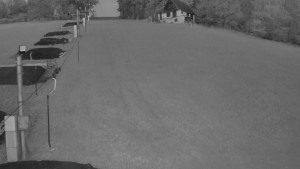 TJ Němčičky - Koberec - 30.4.2025 v 05:00 TJ Němčičky - Koberec - 30.4.2025 v 05:00