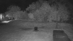 TJ Němčičky - Koberec - 30.4.2025 v 22:00 TJ Němčičky - Koberec - 30.4.2025 v 22:00