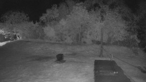 TJ Němčičky - Koberec - 30.4.2025 v 23:00 TJ Němčičky - Koberec - 30.4.2025 v 23:00