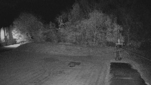 TJ Němčičky - Koberec - 21.10.2025 v 21:30 TJ Němčičky - Koberec - 21.10.2025 v 21:30