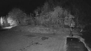 TJ Němčičky - Koberec - 25.10.2025 v 00:00 TJ Němčičky - Koberec - 25.10.2025 v 00:00