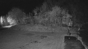 TJ Němčičky - Koberec - 25.10.2025 v 03:30 TJ Němčičky - Koberec - 25.10.2025 v 03:30