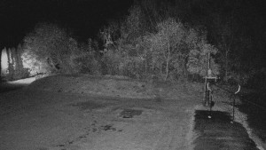 TJ Němčičky - Koberec - 25.10.2025 v 05:30 TJ Němčičky - Koberec - 25.10.2025 v 05:30