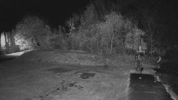 Snímek    30.10.2025 v 05:00