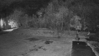 Snímek    4.11.2025 v 01:00