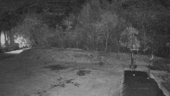 Snímek 5.11.2025 v 00:00