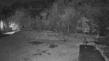 Snímek 5.11.2025 v 03:30