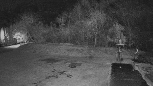 TJ Němčičky - Koberec - 7.11.2025 v 01:00 TJ Němčičky - Koberec - 7.11.2025 v 01:00