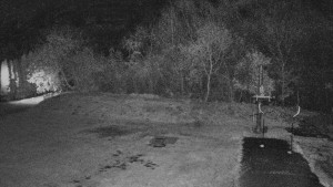 TJ Němčičky - Koberec - 7.11.2025 v 02:00 TJ Němčičky - Koberec - 7.11.2025 v 02:00