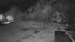 TJ Němčičky - Koberec - 7.11.2025 v 05:30 TJ Němčičky - Koberec - 7.11.2025 v 05:30