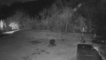 Snímek 7.11.2025 v 20:00