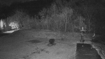 Snímek 7.11.2025 v 21:00