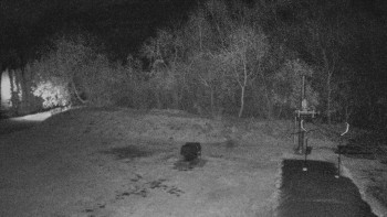 Snímek 8.11.2025 v 00:00