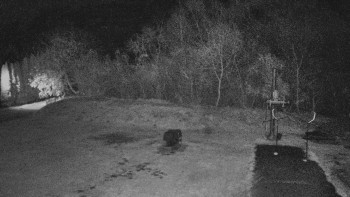 Snímek 8.11.2025 v 01:00