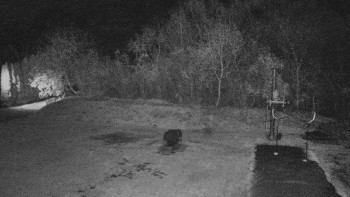 Snímek 8.11.2025 v 02:00