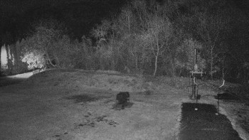 Snímek 8.11.2025 v 05:30