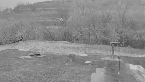 TJ Němčičky - Koberec - 14.11.2025 v 07:00 TJ Němčičky - Koberec - 14.11.2025 v 07:00