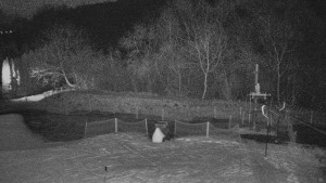 TJ Němčičky - Koberec - 7.12.2025 v 00:00 TJ Němčičky - Koberec - 7.12.2025 v 00:00