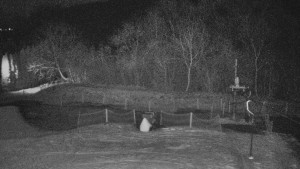 TJ Němčičky - Koberec - 8.12.2025 v 00:00 TJ Němčičky - Koberec - 8.12.2025 v 00:00