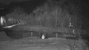 TJ Němčičky - Koberec - 8.12.2025 v 03:00 TJ Němčičky - Koberec - 8.12.2025 v 03:00