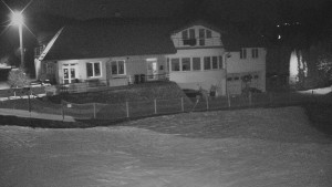 TJ Němčičky - Koberec - 8.12.2025 v 04:00 TJ Němčičky - Koberec - 8.12.2025 v 04:00