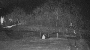 TJ Němčičky - Koberec - 8.12.2025 v 05:00 TJ Němčičky - Koberec - 8.12.2025 v 05:00