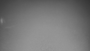 TJ Němčičky - Koberec - 8.12.2025 v 06:30 TJ Němčičky - Koberec - 8.12.2025 v 06:30