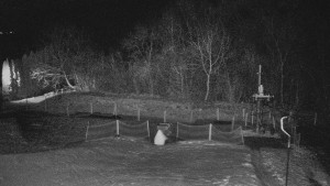 TJ Němčičky - Koberec - 8.12.2025 v 22:30 TJ Němčičky - Koberec - 8.12.2025 v 22:30