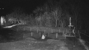 TJ Němčičky - Koberec - 17.12.2025 v 00:00 TJ Němčičky - Koberec - 17.12.2025 v 00:00