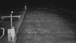 TJ Němčičky - Koberec - 17.12.2025 v 01:00 TJ Němčičky - Koberec - 17.12.2025 v 01:00