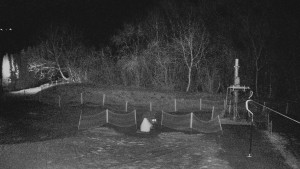 TJ Němčičky - Koberec - 17.12.2025 v 02:00 TJ Němčičky - Koberec - 17.12.2025 v 02:00